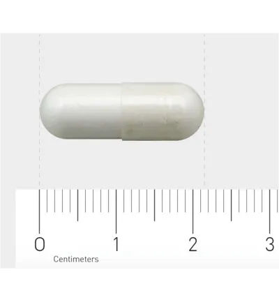 AOV 604 L-Carnosine (60 vega capsules) - image 3