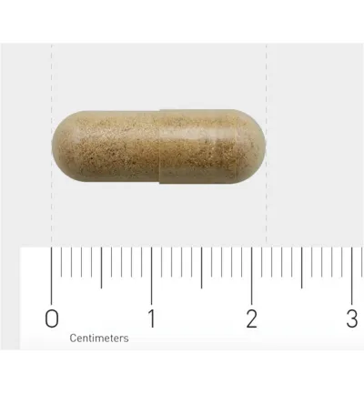 Aov 813 Ginkgo Biloba Extract (60 vega capsules) - image 3