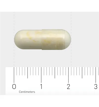 AOV 1138 Fosfatidylserine (60 vega capsules) - image 3