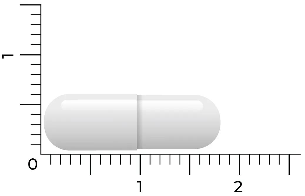 Vitakruid Vitamine D3 75 Mcg / 3000 Ie (60 vega capsules) - image 4