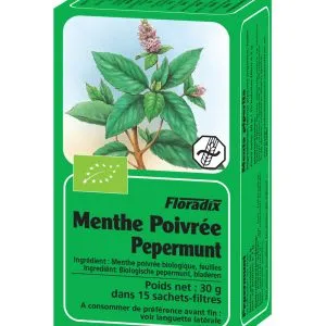 Salus Pepermunt Thee Bio (15 stuks)