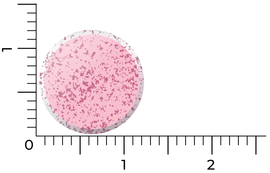 Vitakruid B12 Combi 6.000® Met Actief Folaat Vitamine (120 Smelttabletten) - image 3