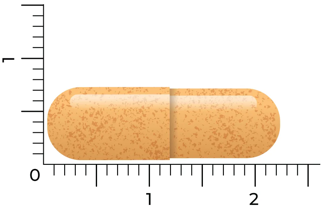 Vitakruid Curcuma C3-2X (95% Curcuminoïden) Met Bioperine® 120 (120 vega capsules) - image 4