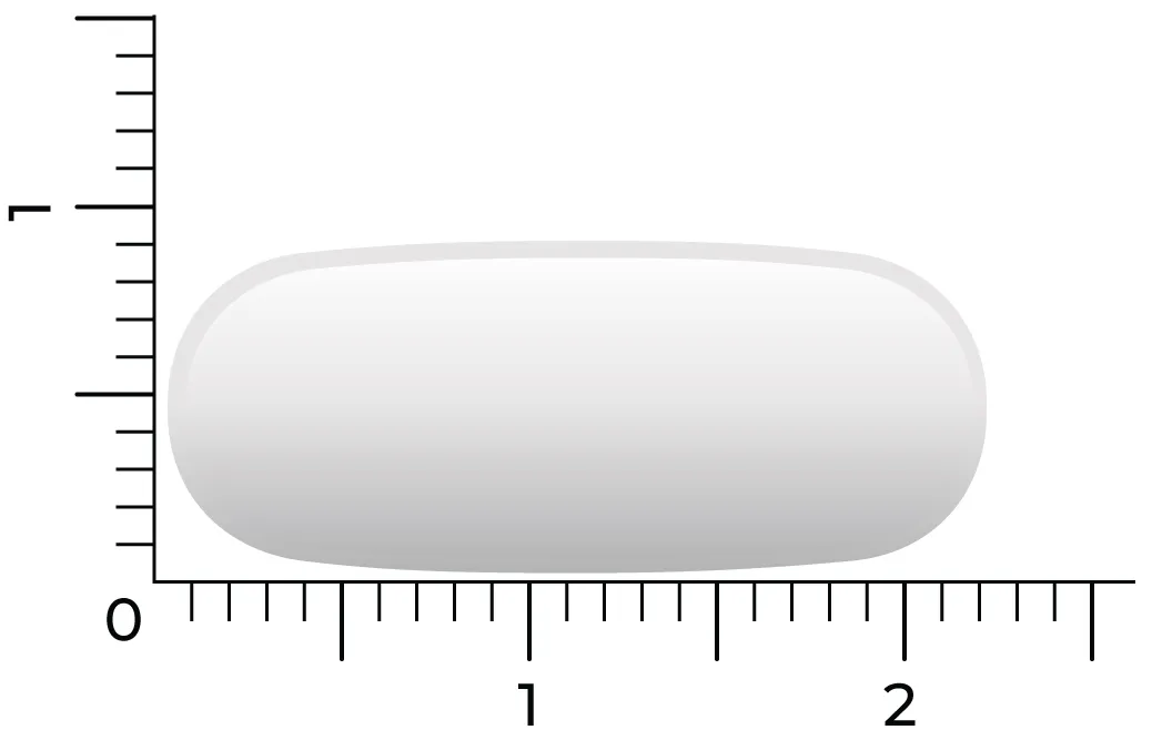 Vitakruid Msm 1000 Mg > 99,9% Zuiver + Vitamine C (120 tabletten) - image 4