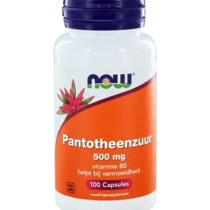 Now Pantotheenzuur 500 mg (100 vega capsules)