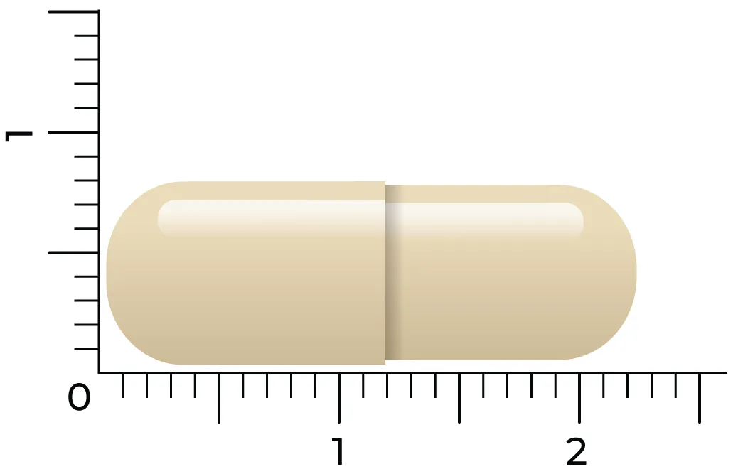Vitakruid Gebufferde Vitamine C Met Oa Zink Opc Quercetine ( vega capsules) - image 4
