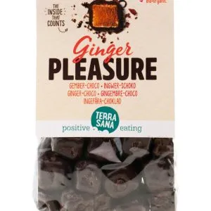 TerraSana Ginger pleasure choco bio (150 gr)