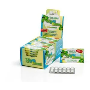 Xyligum Spearmint (15 gr)