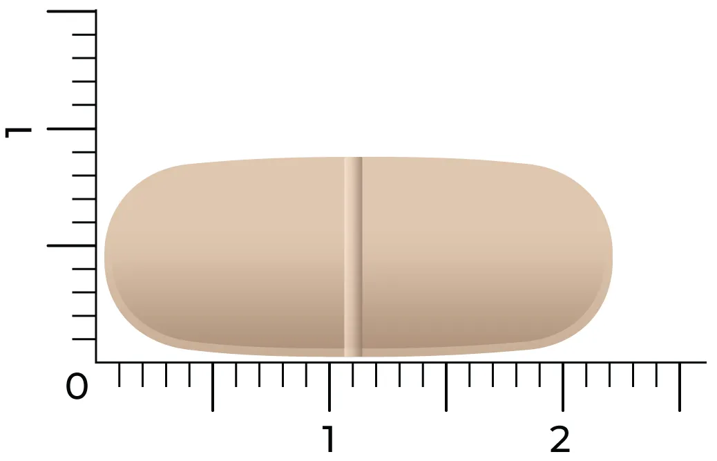 Vitakruid Multi Dag & Nacht Hd 100% Vegan (2 X 30 tabletten) - image 3
