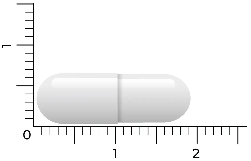 Vitakruid S-Acetyl-L-Glutathion 100 Mg (90 vega capsules) - image 4