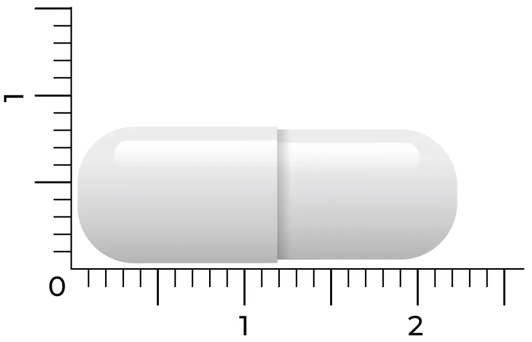 Vitakruid Mineralen Complex Met 12 Verschillende Mineralen (90 vega capsules) - image 4