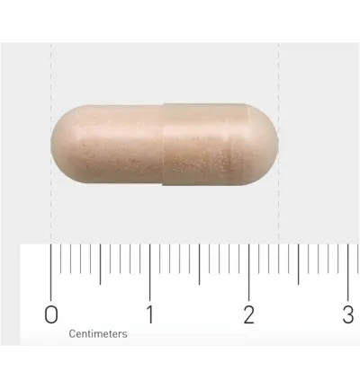 Aov 1204 Pre- en Probiotica (30 vega capsules) - image 4