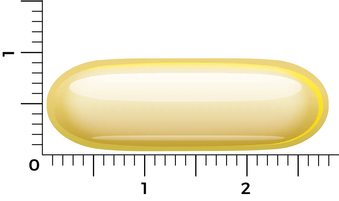 Vitakruid Borage Olie 1500Mg Gla 300Mg Uit Plantaardige Bron (60 softgels) - image 4