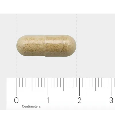 Aov 805 Genisteine (60 vega capsules) - image 3