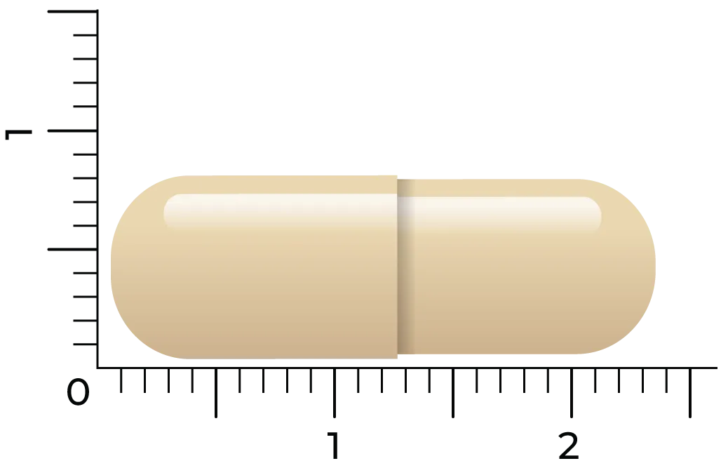 Vitakruid Dim Builder 400 Mg Broccolikiem Extract Hiactives® (60 vega capsules) - image 4