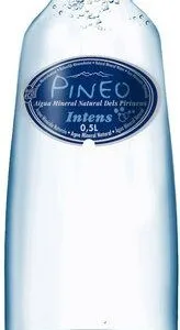 Pineo Mineraalwater Intens, Met Koolzuur (500 ml)