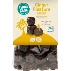 TerraSana Ginger pleasure choco bio (150 gr)