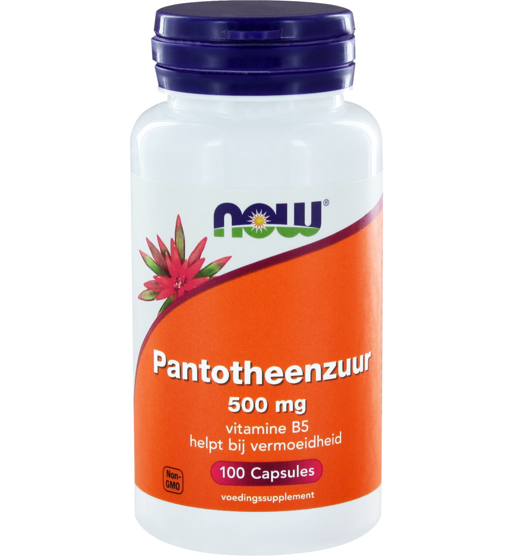 Now Pantotheenzuur 500 mg (100 vega capsules)