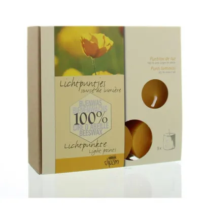 Dipam Sfeerlichtjes In Doosje (9 stuks)