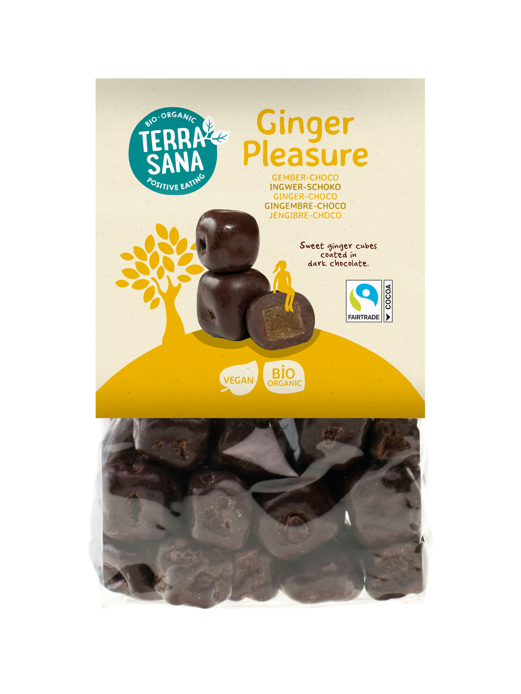 TerraSana Ginger pleasure choco bio (150 gr)