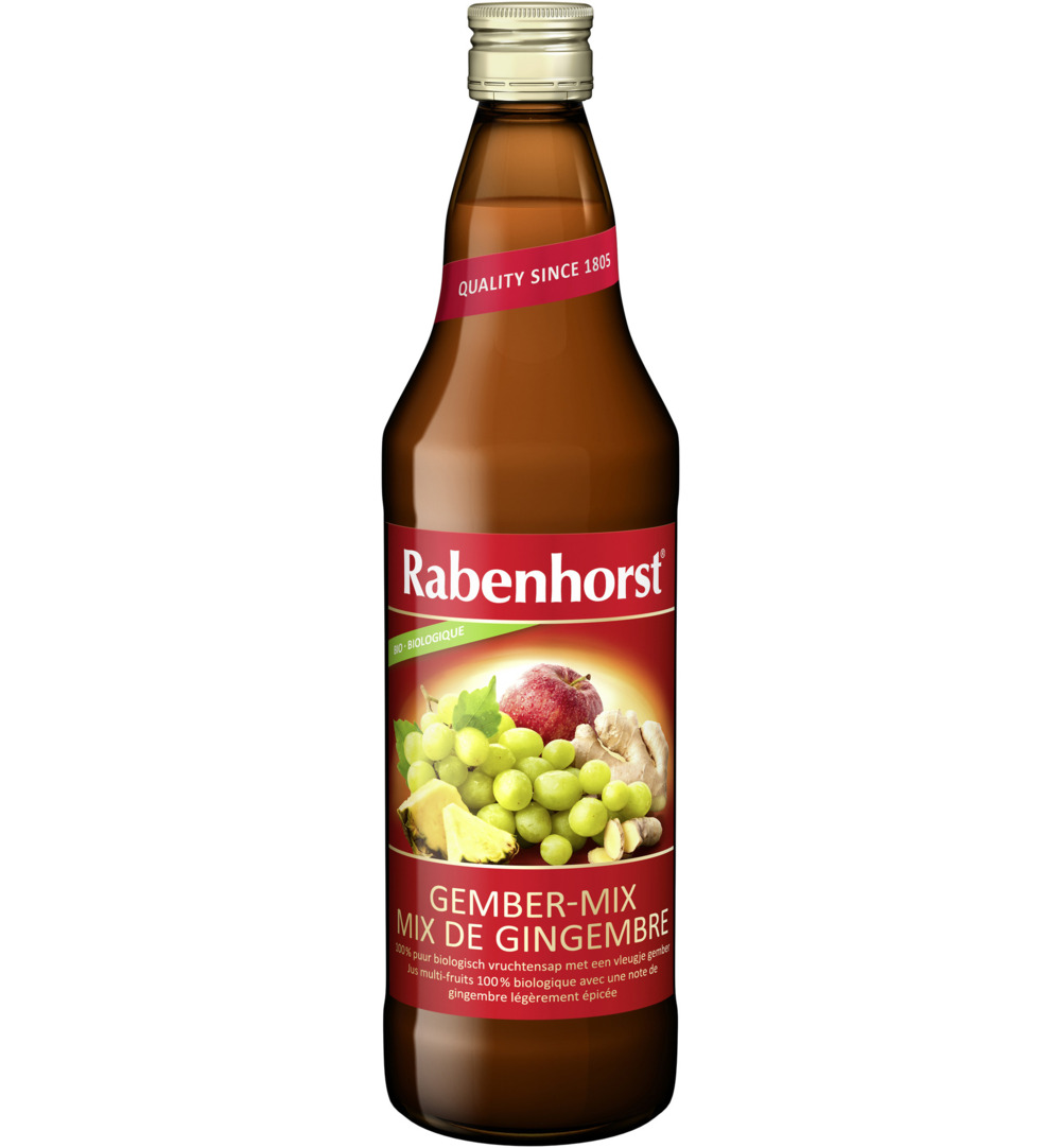 Rabenhorst Ginger mix bio (750 ml)