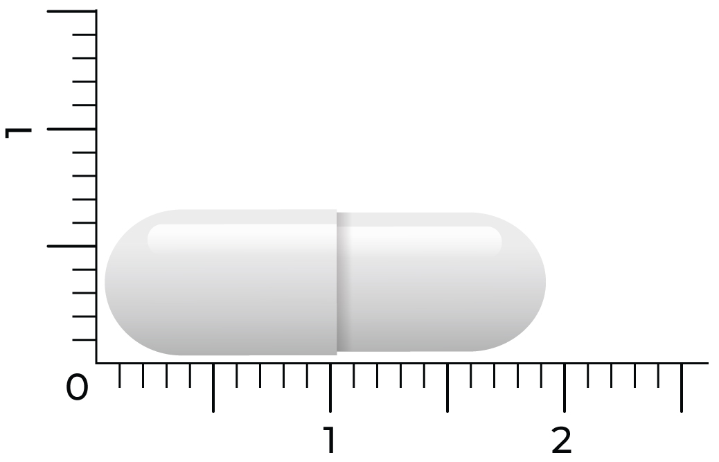 Vitakruid Mucuna Pruriens 400 Mg Minimaal 25% L-Dopa (60 vega capsules) - image 4