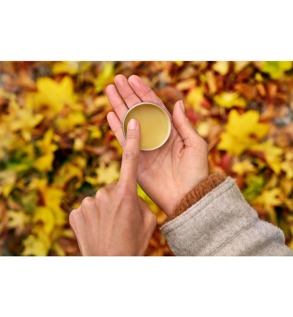 WELEDA Calendula alles-in-een balsem (25 gr) - image 2