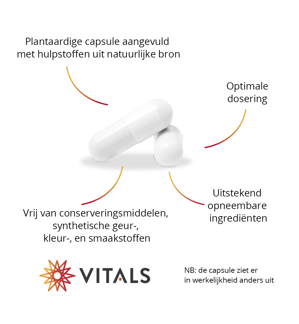 Vitals Elke Dag 50+ (60 capsules) - image 4