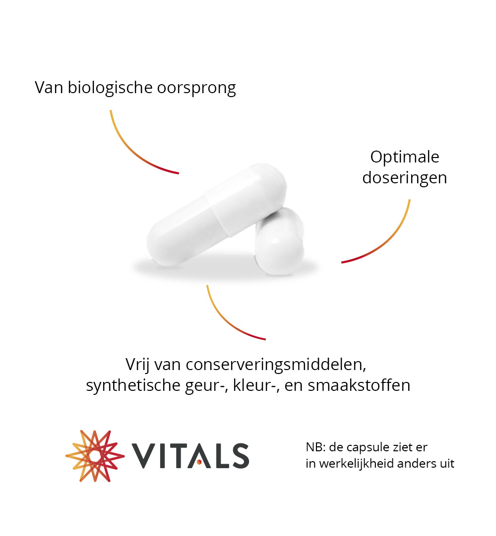 Vitals Saffraan-Lcs Bio (60 capsules) - image 4