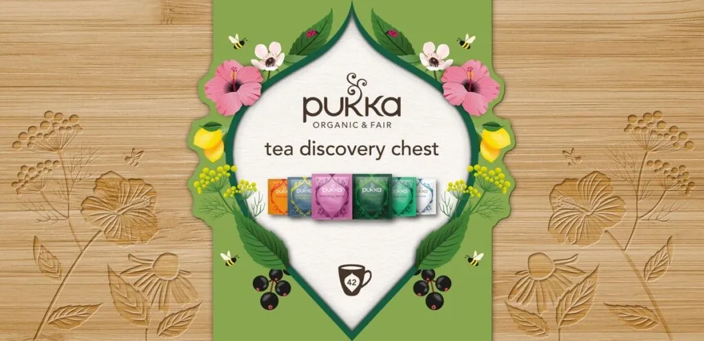 Pukka Tea Discovery Chest Bio (42 zakjes)