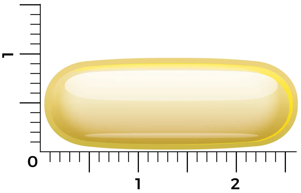 Vitakruid Visolie 1400 Tg® Triglyceriden Met D3 (90 Softgels) - image 4