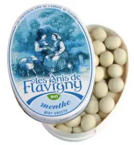 Les Anis De Flavigny Anijspastilles Mint Bio (50 gr)