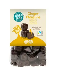TerraSana Ginger pleasure choco bio (150 gr)