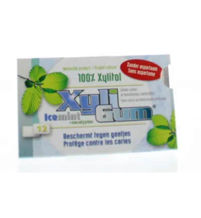 Xyligum Kauwgom icemint (15 gr)