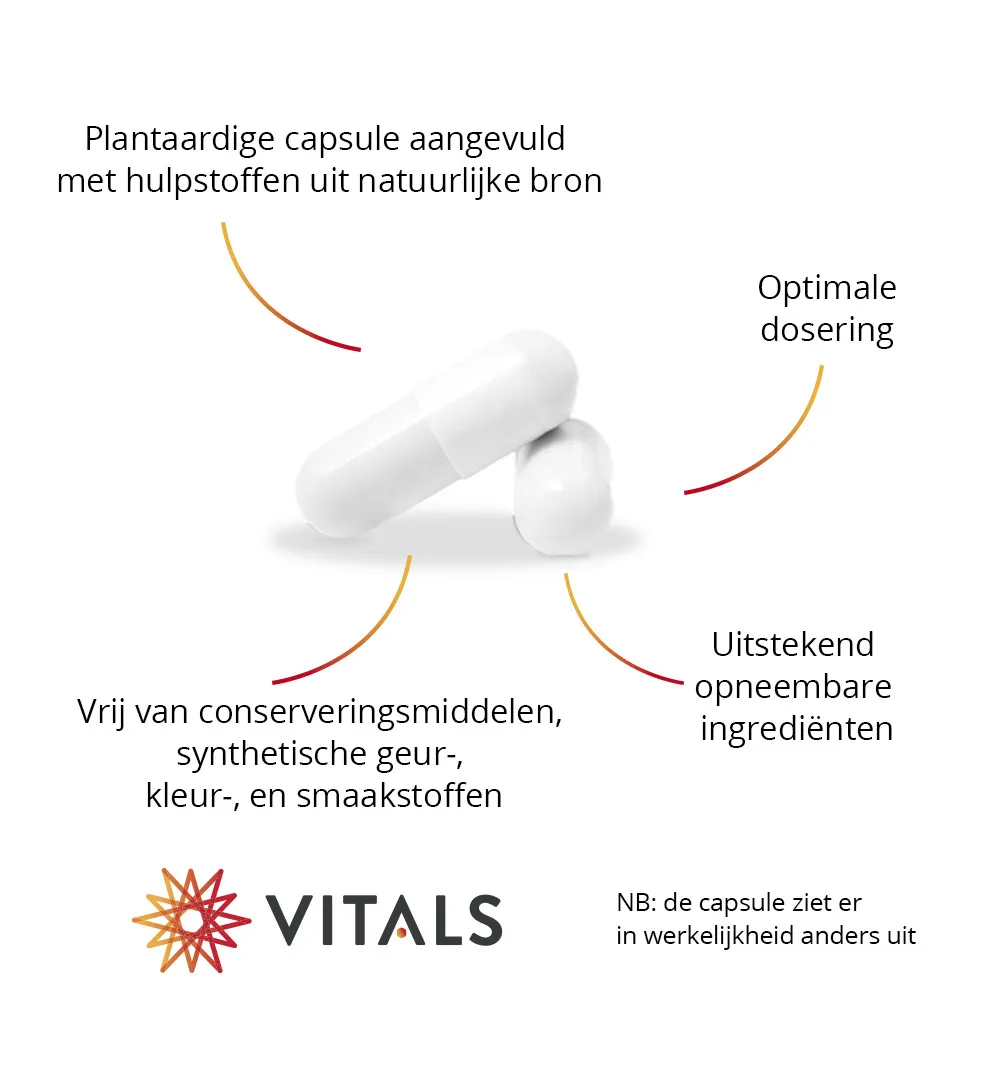 Vitals Elke Dag 50+ (60 capsules) - image 4