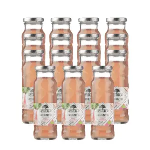 Schulp Appel Rabarbersap Bio 15 Pack (15 x 200 ml)
