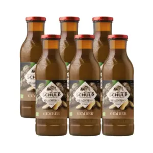 Schulp Krachtsap Gember Bio 6 Pack (6 x 750 ml)
