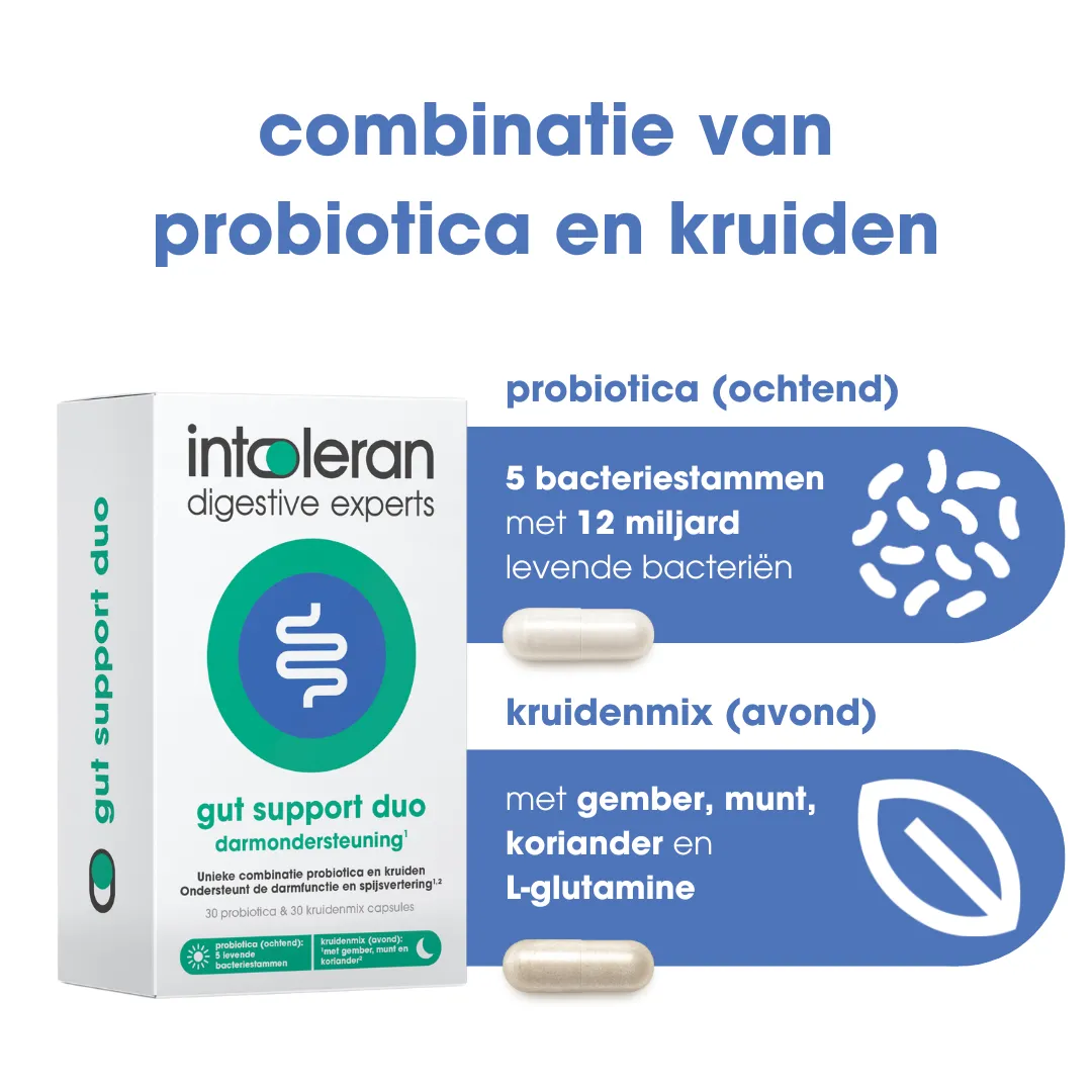 Intoleran Gut Support Duo Capsules (60 capsules) - image 2