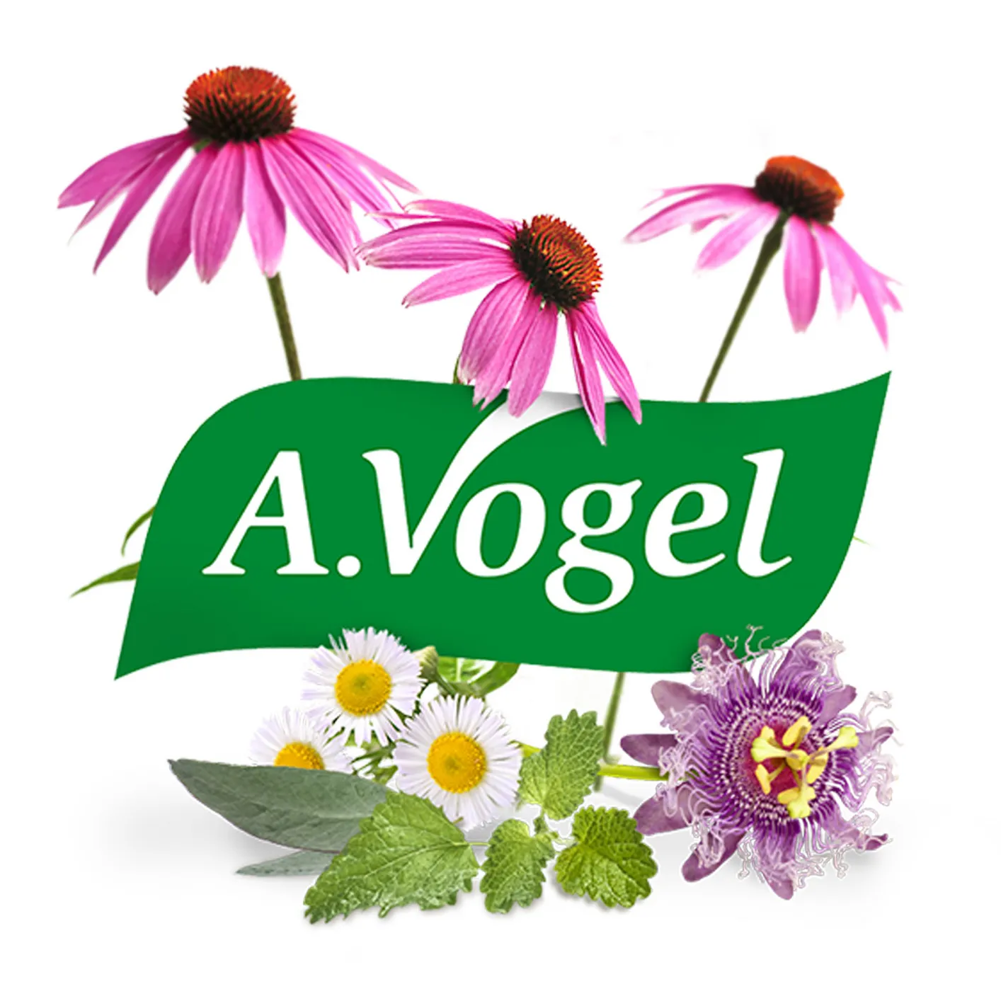 A.Vogel Neusspray Bijholteontsteking (20 ml) - image 2