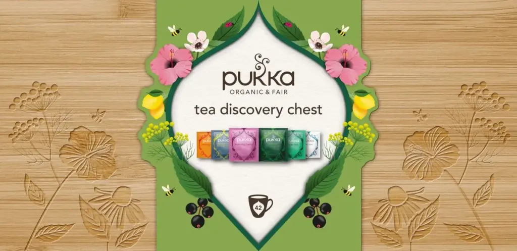 Pukka Tea Discovery Chest Bio (42 zakjes)