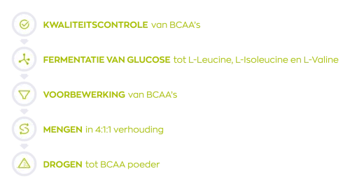 Vitakruid Elite Post Workout Man Bcaa 4:1:1 & Elektrolyten (360 gr) - image 5