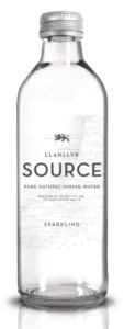 Llanllyr Mineraalwater Met Koolzuur (750 ml)