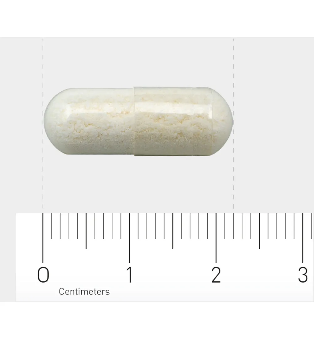 Orthica Orthiflor Basic (90 capsules) - image 3