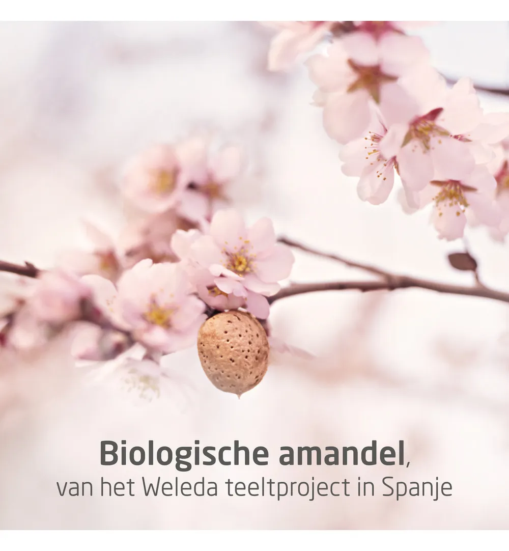 WELEDA Perineum masssageolie (50 ml) - image 3