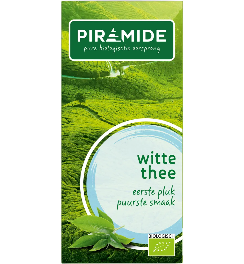 Piramide Witte Thee Original Eko Bio (20 stuks)