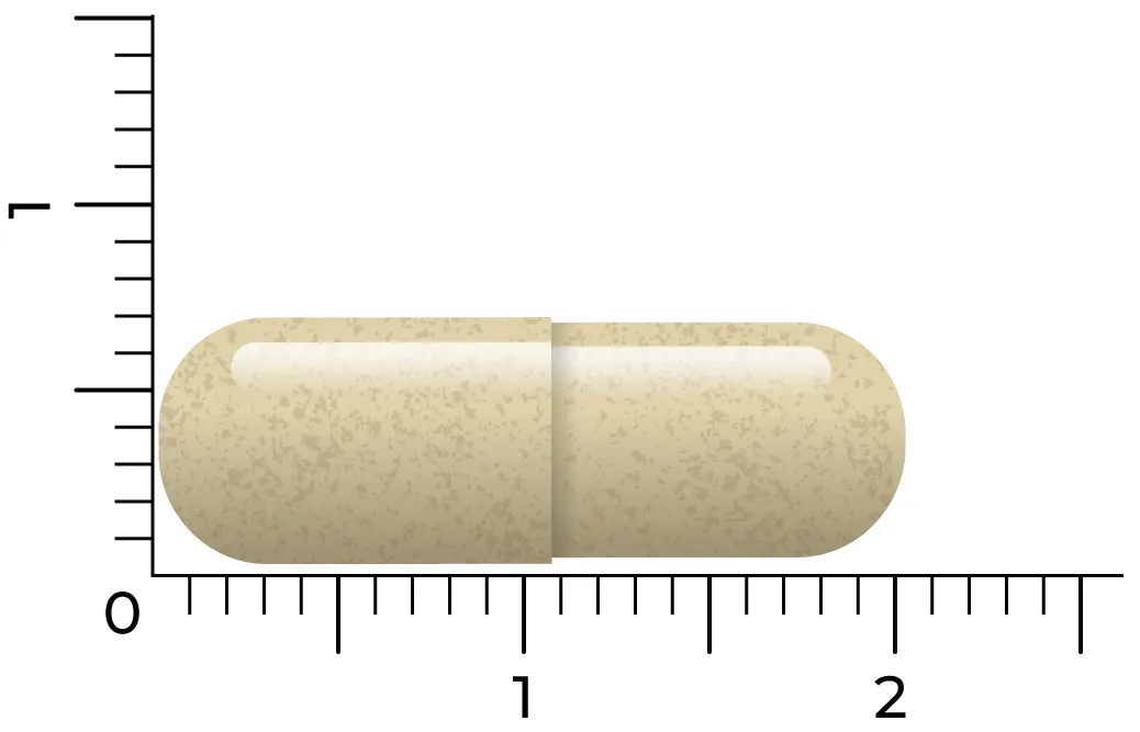 Vitakruid Saffraan 28 mg (Affron®) & L-Theanine Groene Thee (30 vega capsules) - image 4