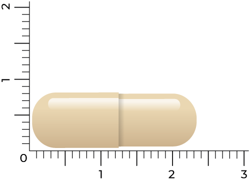 Vitakruid Energiecomplex Groene Thee (60 vega capsules) - image 4