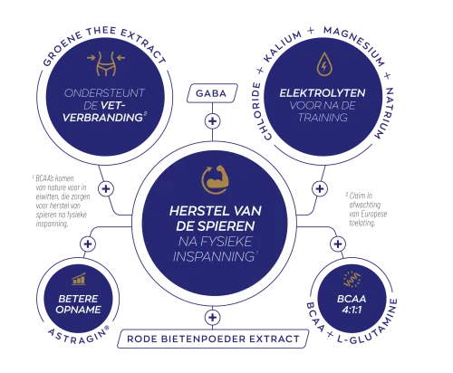 Vitakruid Elite Post Workout Vrouw BCAA 4:1:1 & Elektrolyten (325 gr) - image 4