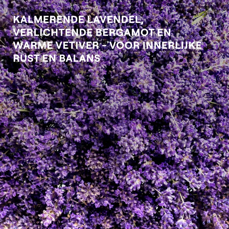 Weleda Relax Douchecreme Lavendel (400 ml) - image 2