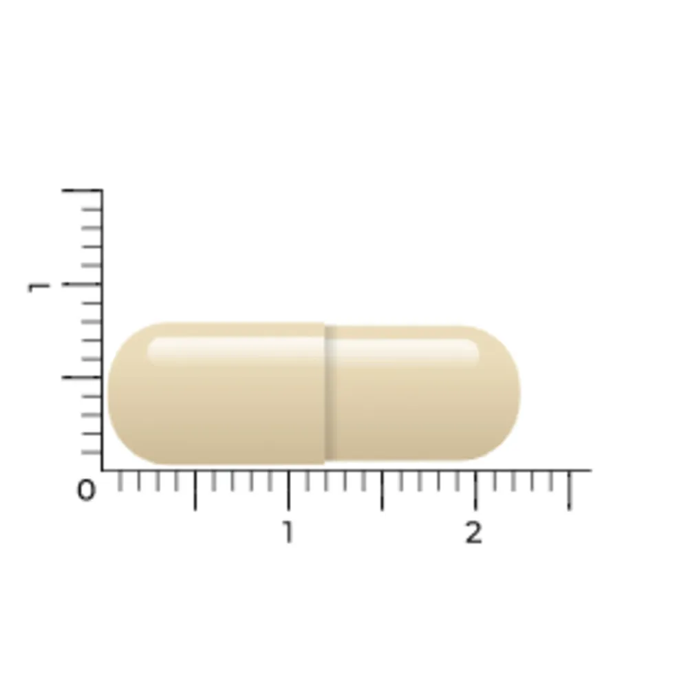 Vitakruid Gebufferde Vitamine C (180 vega capsules) - image 3